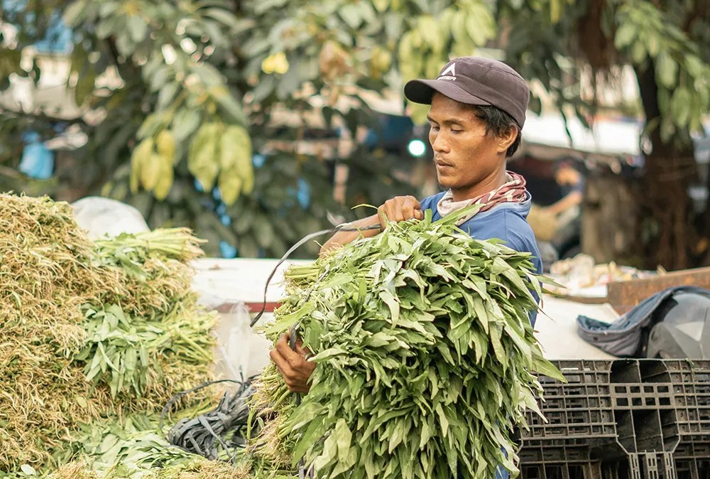 Agricultural products grown and supplied with care, sustainability, and trust.