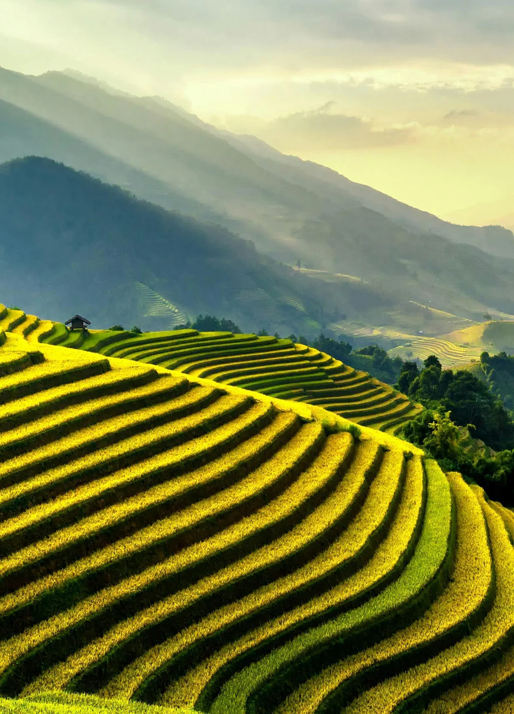Farming goods provided to support modern and efficient agricultural needs.